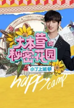 《大本营的秘密花园之小丁上班季》：职场萌新初体验，成长与欢笑并存的奇妙旅程！