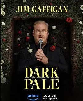 《吉姆·加菲根：深灰》：笑对中年危机与人生真相，一出直击灵魂的单口喜剧。